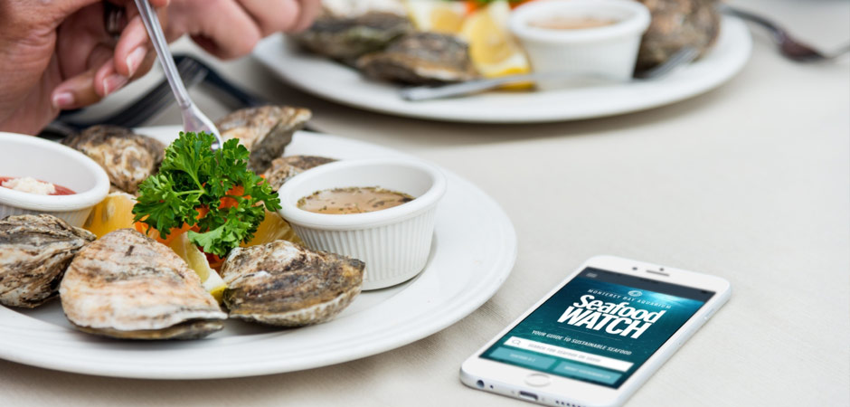 seafood-watch-app-restaurant