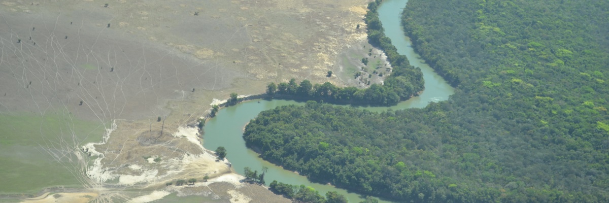 brazil-forests-deforestation-courtesy-of-avecita chicchon