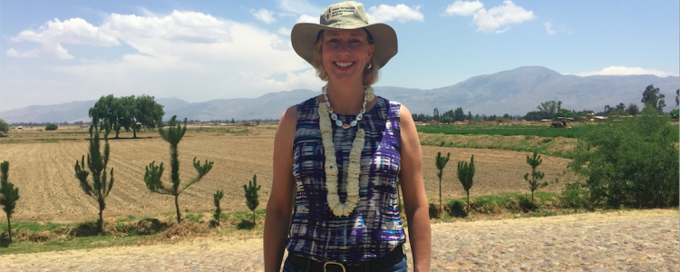 Screen-Shot-2017-02-01-at-3.48.02-PM-750x300